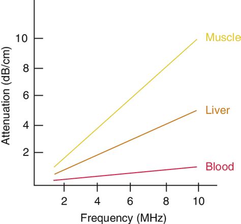 6. Degrees of attenuation of ultrasound beams as a function of the wave ...