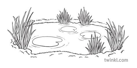 Pond Clipart Clip Drawing Lake Lily Pad Cliparts Ponds Outline Water ...