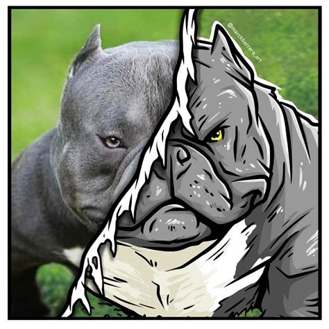 Dog Logos Ideas, American Bully, Foo Dog Tattoo, French Bulldog Art ...