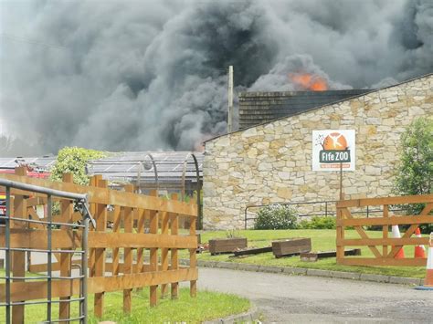 Huge zoo fire rips through building as visitors and monkeys evacuated | The Irish Sun