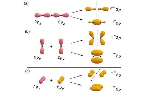 2p molecular orbital shape | Teaching chemistry, Chemistry education ...