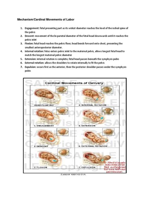 Mechanism of Labor