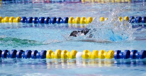 Proper Breathing Technique for Freestyle Swimming | Freestyle swimming, Swimming tips, Usa swimming