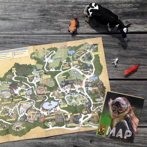 Making the Nashville Zoo Map — Carden Illustration