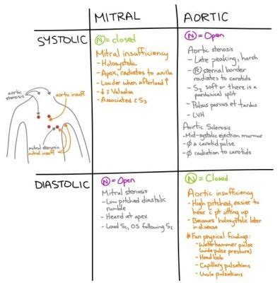 The differences between mitral insufficiency (regurgitation) and ...