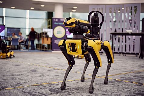 Coders take part in Robot Dog Olympics to help develop tech solutions for Army | Daily Echo