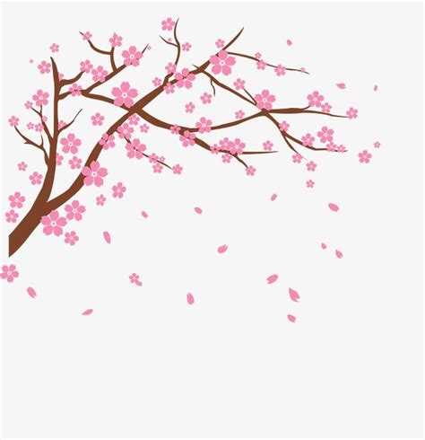 Cherry PNG Transparent, Vector Cherry, Cherry Blossom Clipart, Vector ...