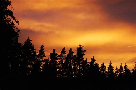 Swedish Nature Sunset - Free photo on Pixabay - Pixabay