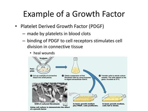 Growth Factor Example Math