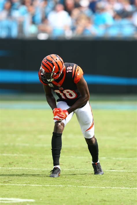 Bengals, A.J. Green Discussing Extension