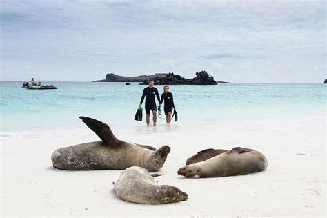 Best Time to Visit the Galapagos | Celebrity Cruises