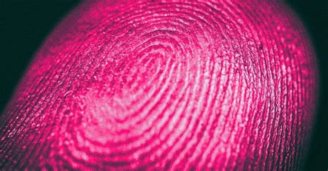 AI Study Claims Human Fingerprints Aren’t Actually Unique