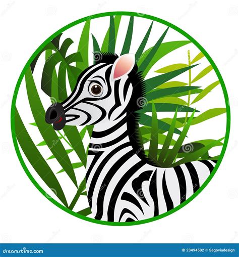 Funny Zebra Cartoon Stock Photography - Image: 23494502