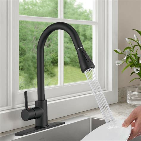 Matte Black Swivel Kitchen Sink Faucet Pull Out