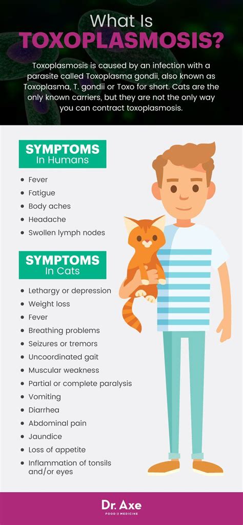 Toxoplasmosis Symptoms in Cats