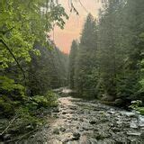 Salmon River Trail - Oregon | AllTrails