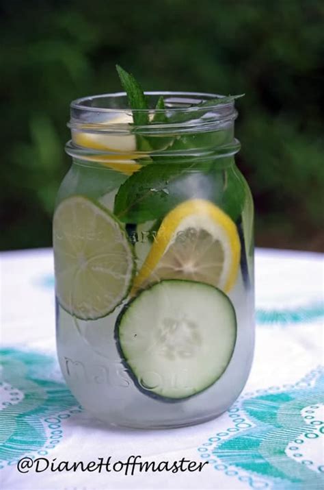 Lemon Lime Detox Water - Turning the Clock Back