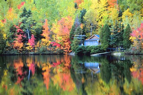 Peak fall foliage season arrives in northern Maine | Newsradio WGAN