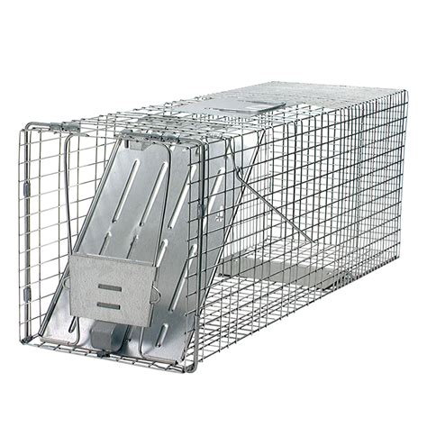 Buy Havahart 1079SR Large 1-Door Humane Catch and Release Live Animal ...