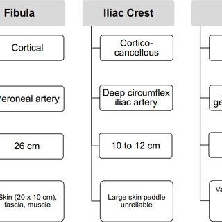 Characteristics of vascularized bone graft options for traumatic lower ...