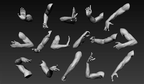 ArtStation - Male Arms 16 Poses | Resources