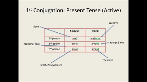 Latin for Beginners Lesson 3: First Conjugation Verbs in the Present Tense - YouTube