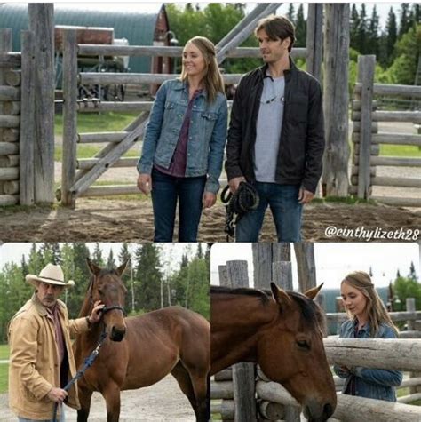 Pin by Emma Lapointe on Heartland | Heartland tv show, Heartland seasons, Heartland cast