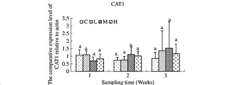 Relative expression levels of CAT1 gene after exposure to different ...