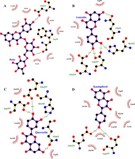 2D interaction between inhibitors and α­amylase at equilibrium state: a... | Download Scientific ...