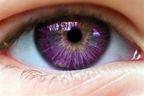 What Should Your Fantasy Eye Color Really Be? | Violet eyes, Aesthetic ...