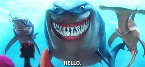 Finding Nemo Shark Gif