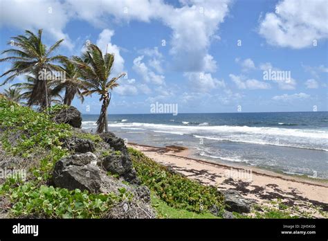 Stunning view on Bathsheba beach Barbados Stock Photo - Alamy