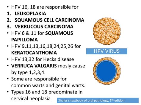 Virus structure | PPT