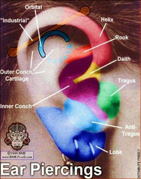 Pain Ear Piercings Chart