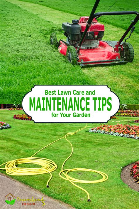 Best Lawn Care Tips and Lawn Maintenance Tips for Your Garden | Lawn ...