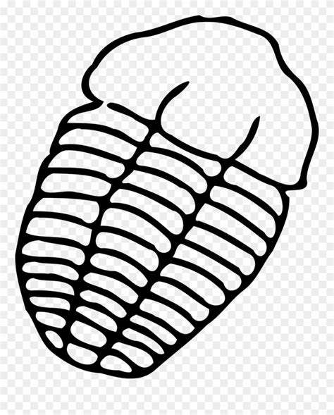 Free Trilobite Cliparts, Download Free Trilobite Cliparts png images, Free ClipArts on Clipart ...