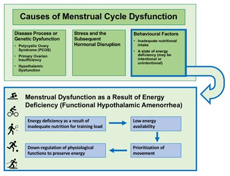 The Abnormal Menstrual Cycle: Misunderstood and Mismanaged - BJSM blog - social media's leading ...