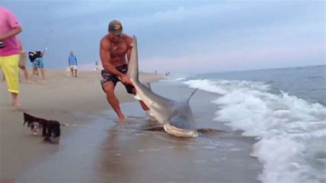 Nantucket man wrestles with shark | CNN