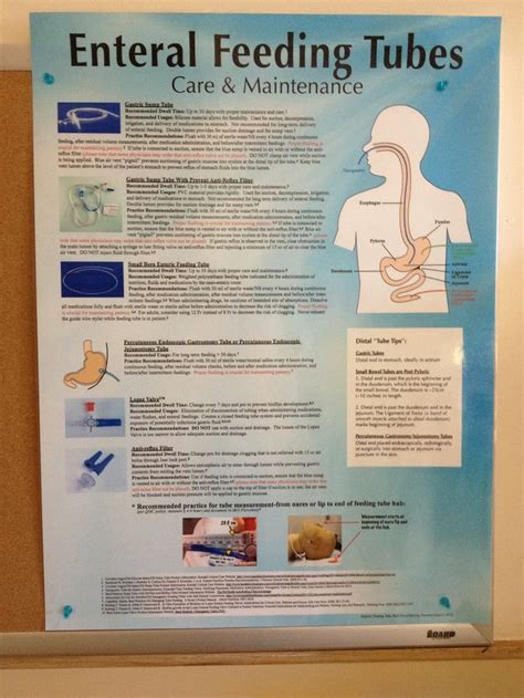 Enteral Feeding Tubes - care and maintenance, | Enteral feeding, Feeding tube, Superior ...