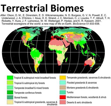 terrestrial biomes | Earth map, Biomes, Terrestrial