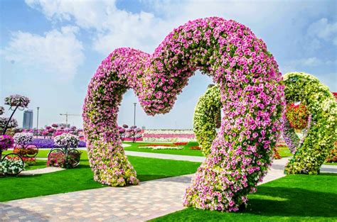 Dubai Miracle Garden | The Longest flower wall in the world | Srilatha Sharma | Flickr