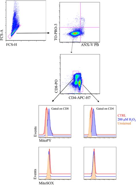 MitoSOX Mitochondrial Red superoxide indicator and Mitochondria Peroxy ...