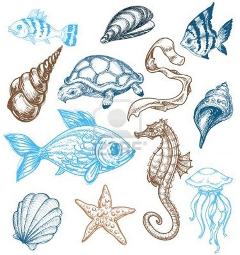 Under Water Animals Drawing