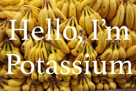 Potassium Bananas - A Love Letter To Food