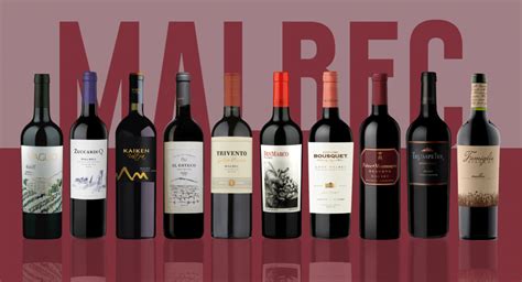 $15 bottles that taste like $50: 2019 Argentine Malbecs to buy now - JamesSuckling.com