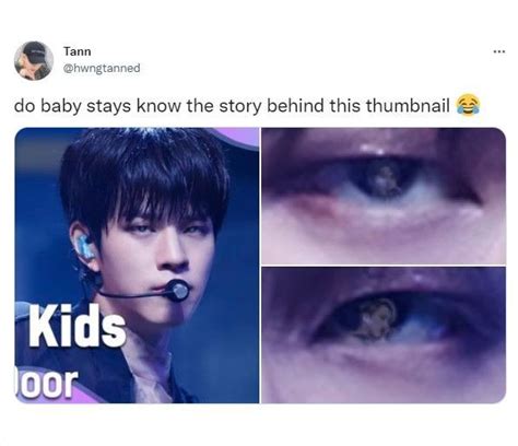 Stray Kids Chan, Stray Kids Seungmin, Stray Cat, Cat Icon, Kid Memes ...