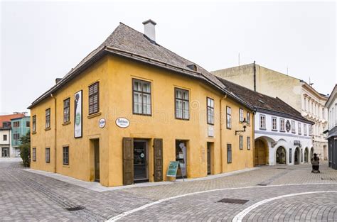 Beethoven House Museum in the Center of Baden Bei Wien. Vienna Woods, Lower Austria Editorial ...