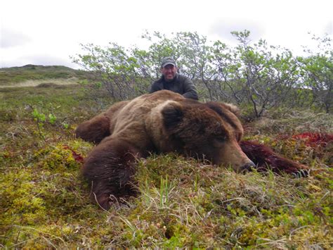 Alaska Peninsula Bear Hunting Guides | Arctic North Guides