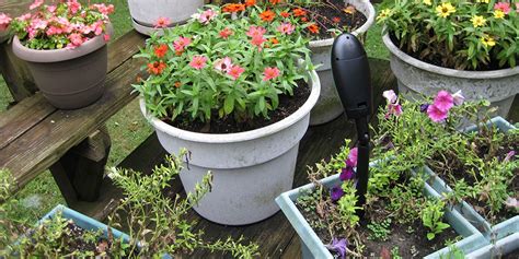 10 Gadgets & Tools To Make Gardening Easy In 2023