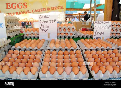 Trays of free range chicken eggs for sale on a British food market, England UK Stock Photo - Alamy